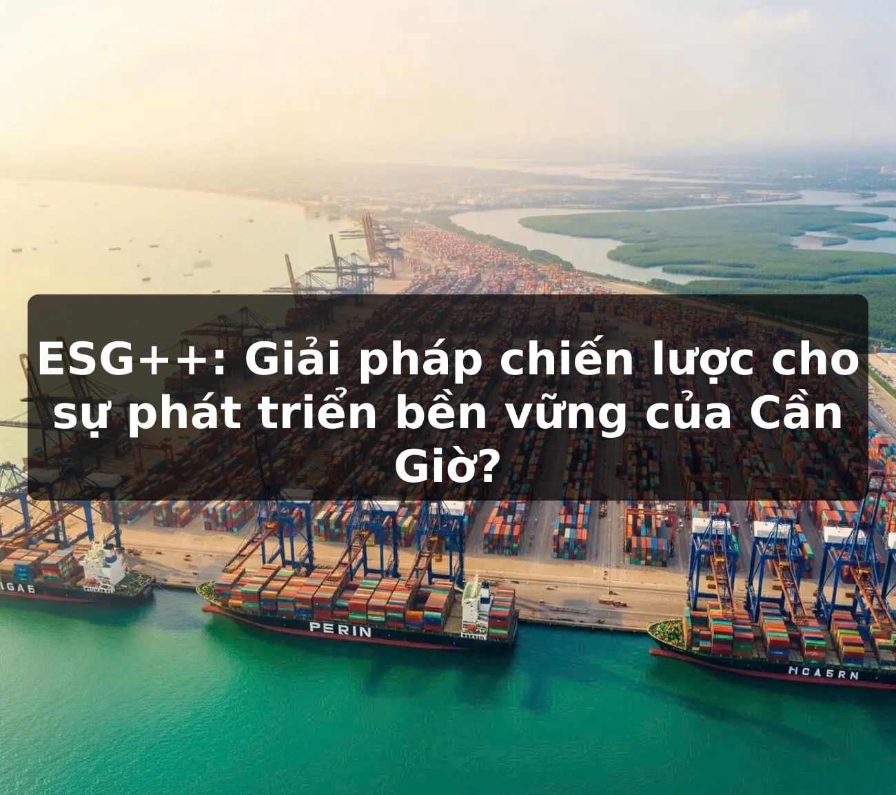 ESG++: Giải pháp chiến lược cho sự phát triển bền vững của Cần Giờ