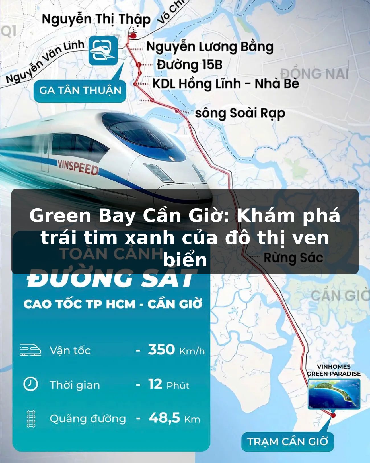 Green Bay Cần Giờ: Khám phá trái tim xanh của đô thị ven biển!