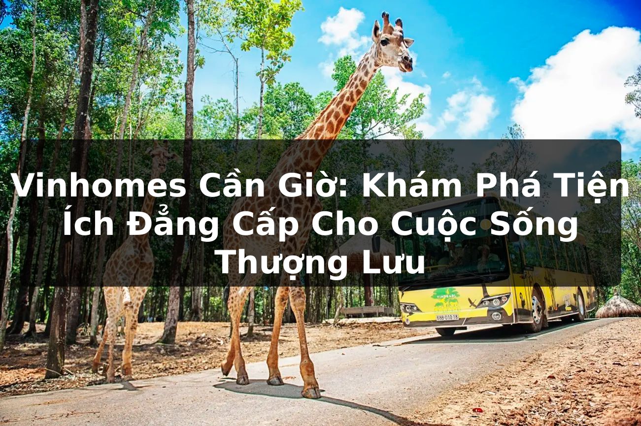 Vinhomes Cần Giờ: Khám Phá Tiện Ích Đẳng Cấp Cho Cuộc Sống Thượng Lưu